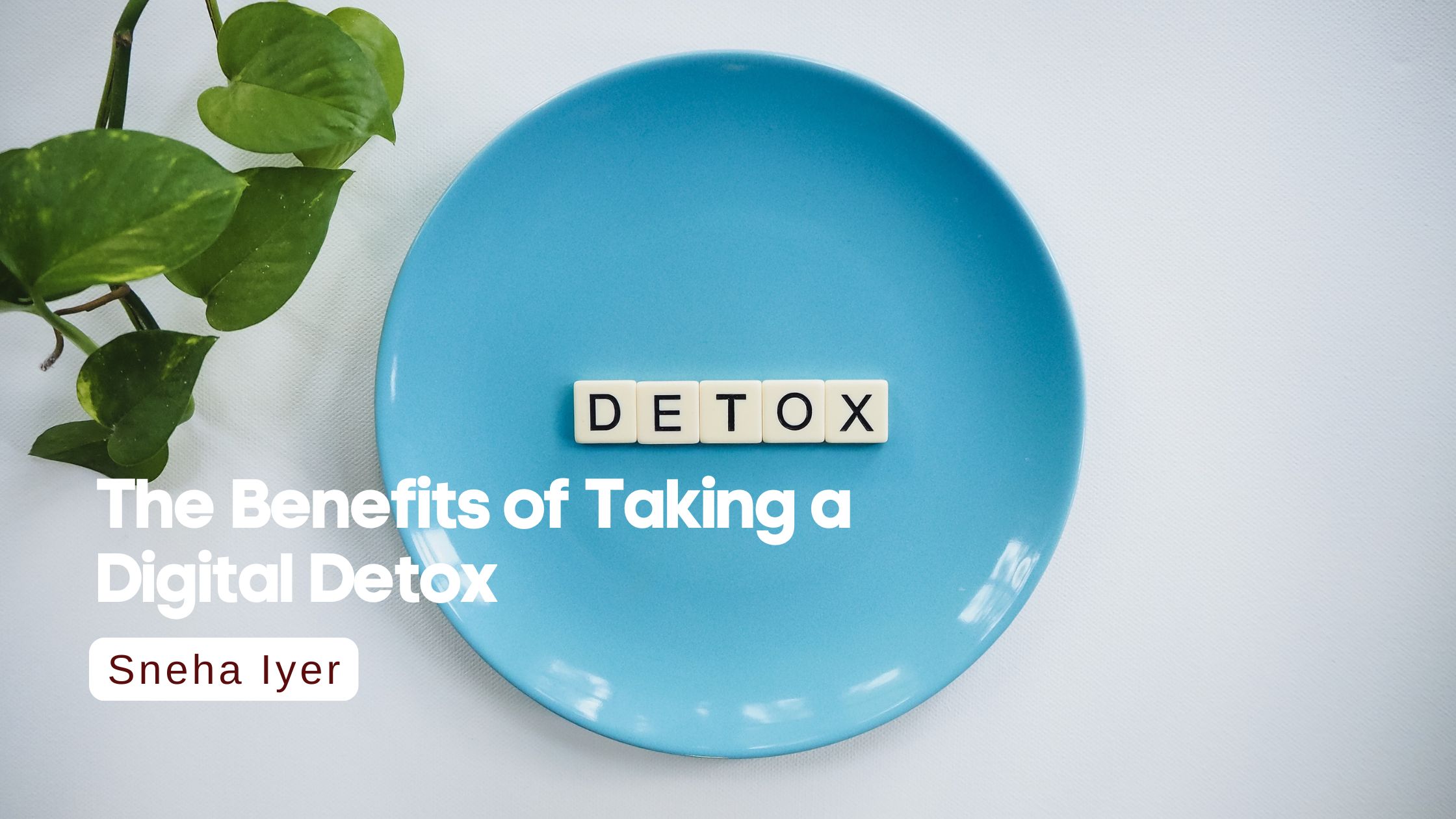 The Benefits of Taking a Digital Detox I Sneha Iyer